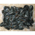 Högkvalitativ välsmakande och läcker fryst kokt mussla med fabrikspris